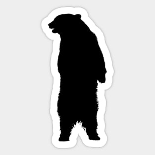 Bear Sticker